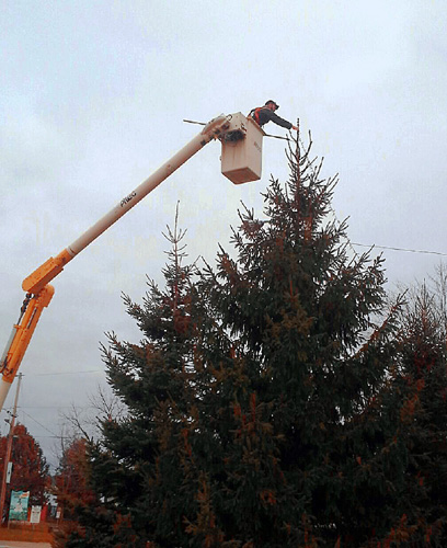 Christmas Light Installation